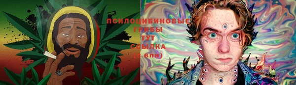 винт Арсеньев